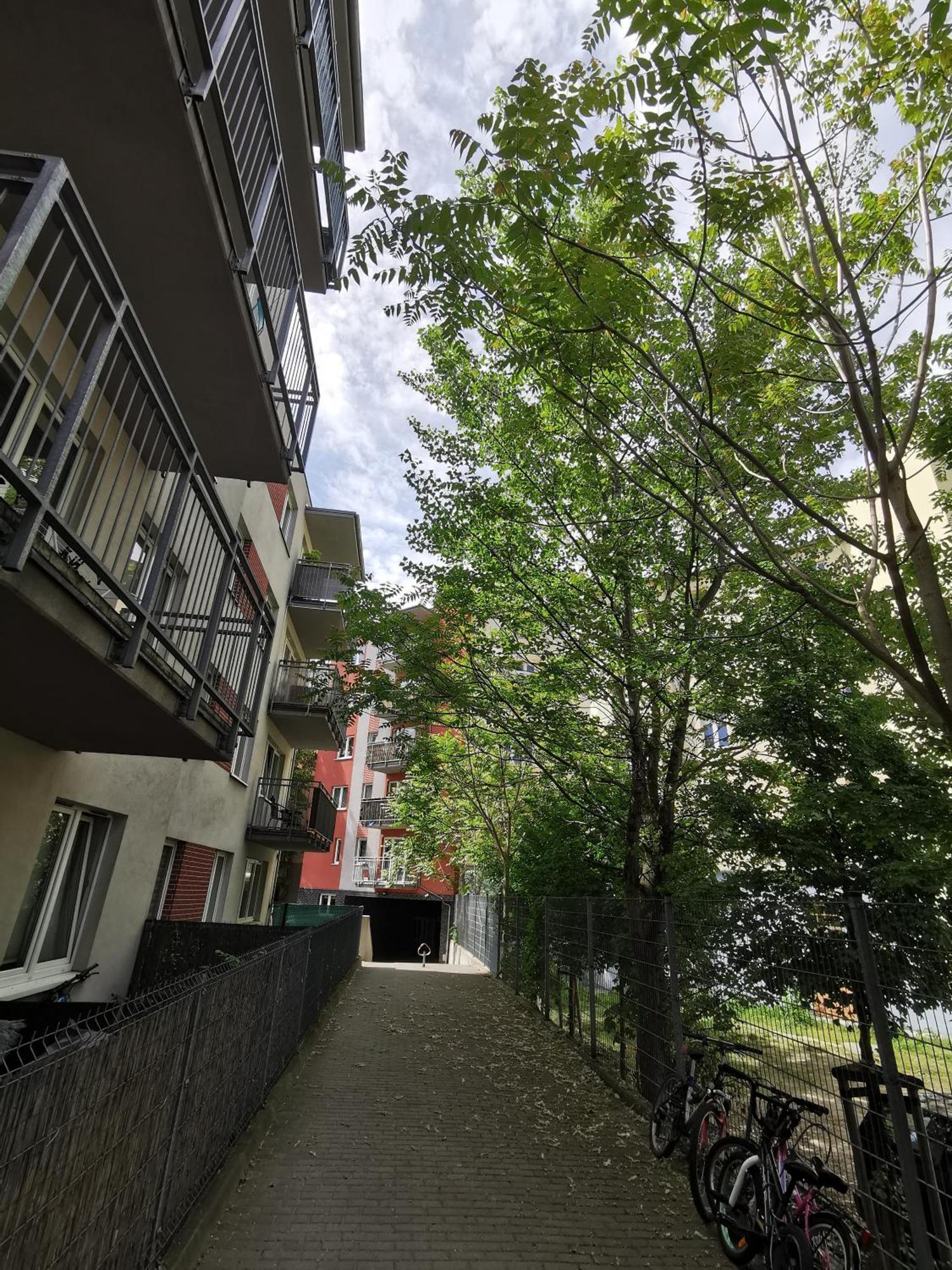 Pionier 71b Apartment Breslau