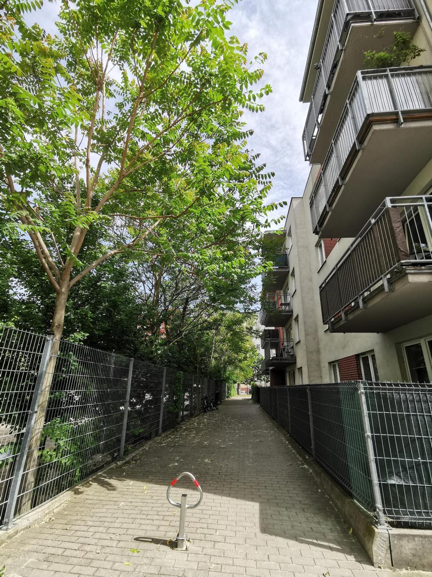Pionier 71b * Wroclaw